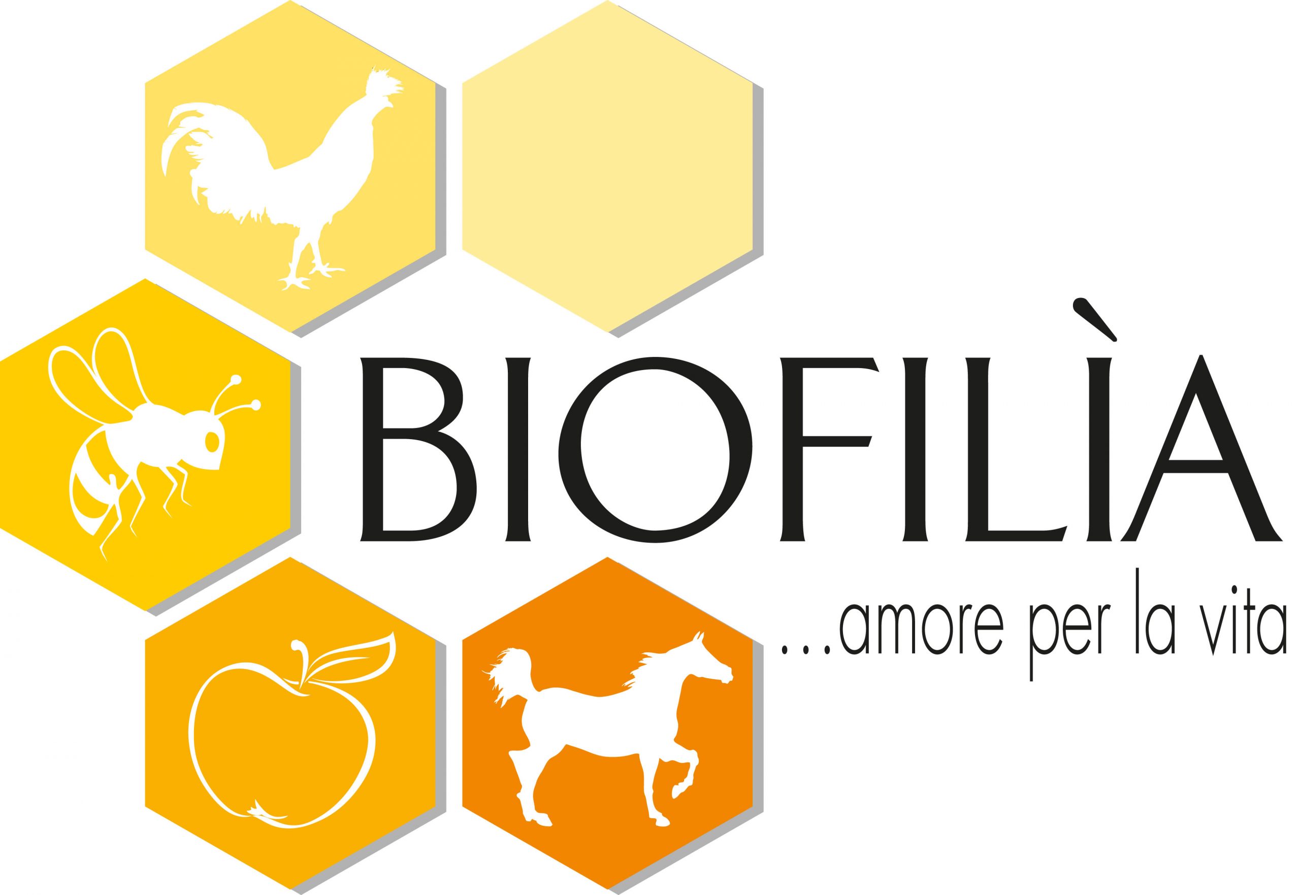 Daniele Romei logo cliente